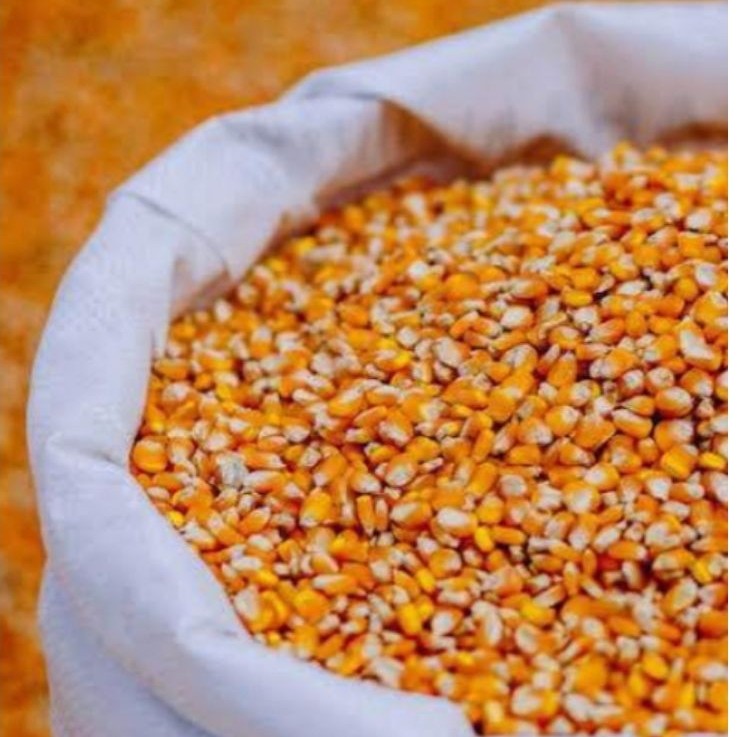 jagung kering 1kg
