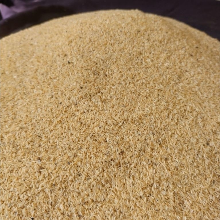 Telur Jangkrik Alam 600gram Kualitas Unggul
