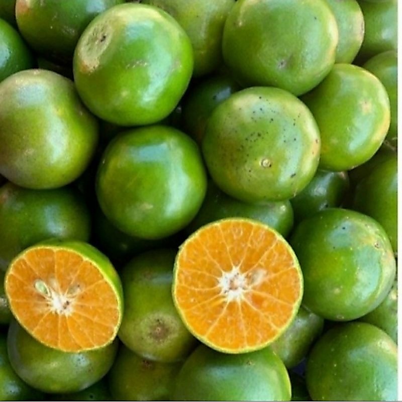 Jeruk peras 1kg.