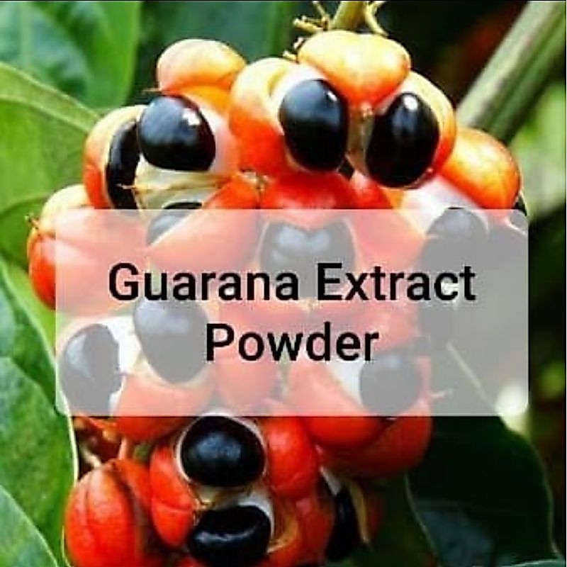 Organic guarana extract powder / raw materials -