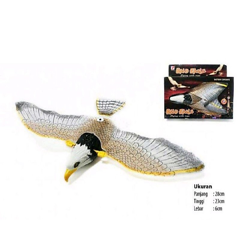 Burung Elang Terbang