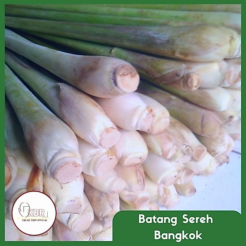 Sereh Bangkok 1kg / Sereh Jumbo / Sereh Wangi