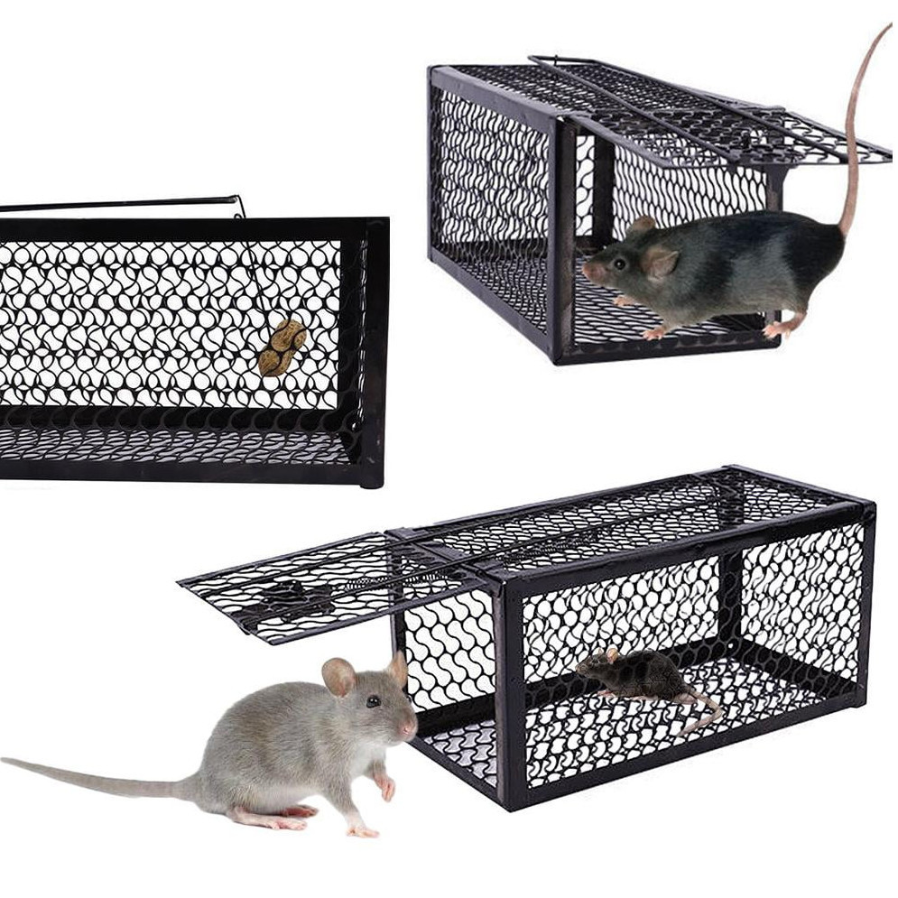 Prima Jebakan Tanpa Menyiksa Perangkap Tikus yang Simpel Jebakan Tikus Kandang Besi Automatic Mouset