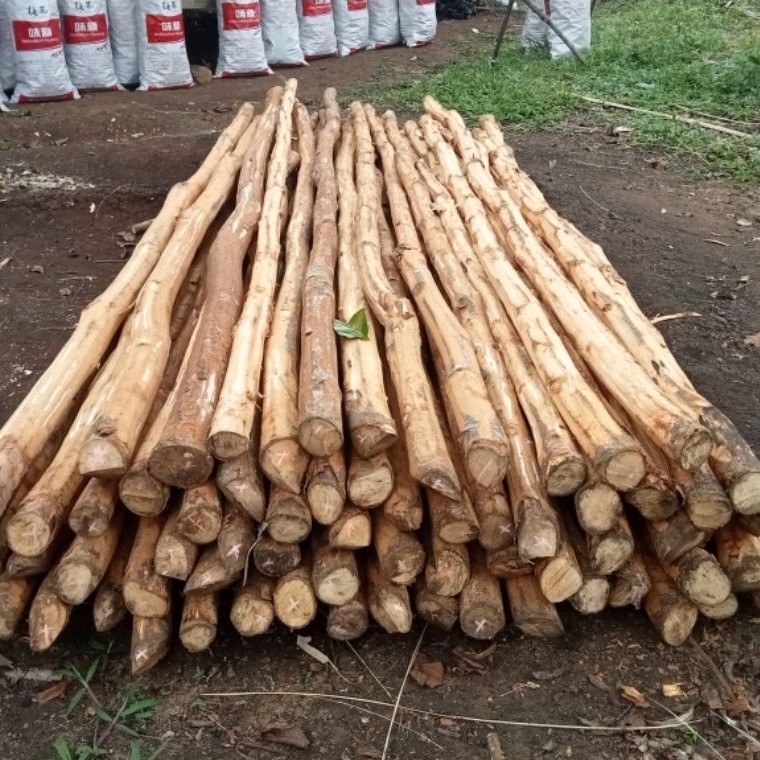 Dolken kayu keras/kayu Puspa ukuran bulatan 8up