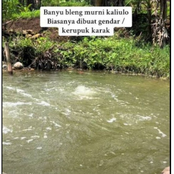 banyu bleng/obat gendar/gendar