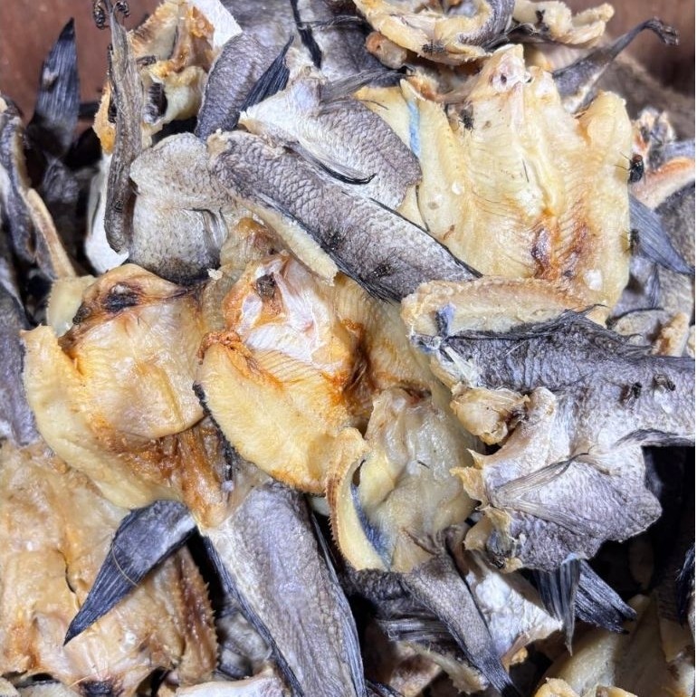 Ikan Gabus Asin Kering Premium