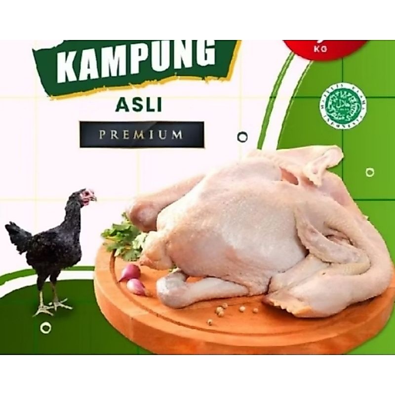 ayam kampung asli berat -+1,2kg timbangan hidup