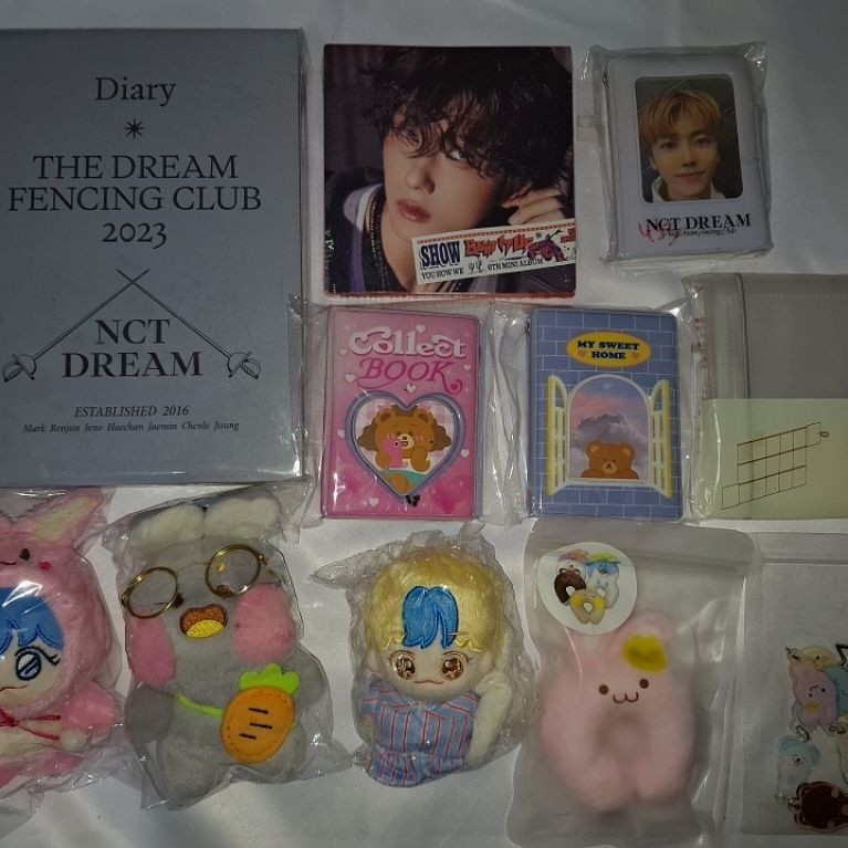DOLL 10 CM JAEMIN NCT DREAM ZZAEMINI TDS 3 SG PILLOW MAGNETIC PINKKI