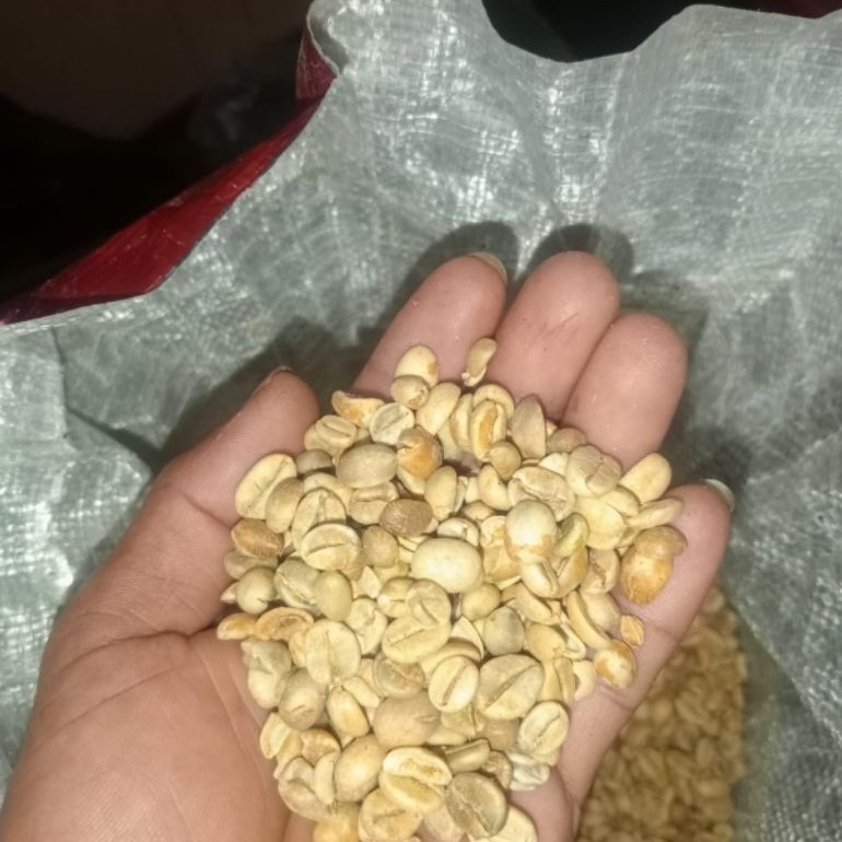 kopi mentah 1kg