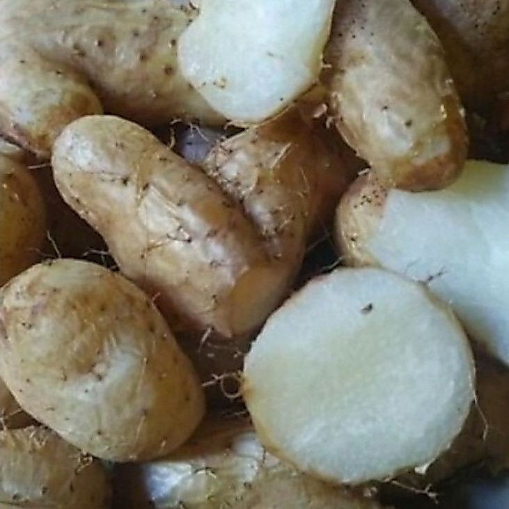 umbi mbili wonogiri.250 gr