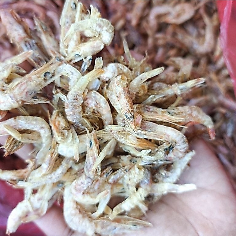 Udang kering tawar/ebi kering tawar termurah