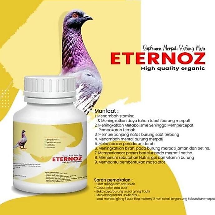 JAMU MERPATI ETERNOZ KUNING PUTIH BURUNG SPRINT MANUVER BURUNG MERPATI