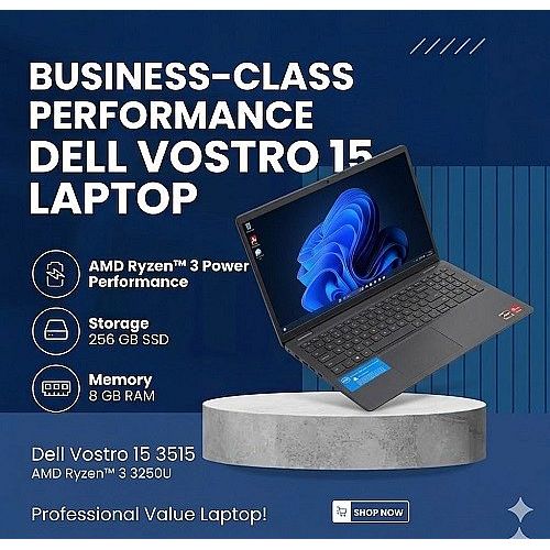 Dell Vostro 15 3515 AMD Ryzen 3 3250U Ram 8Gb SSD 256Gb