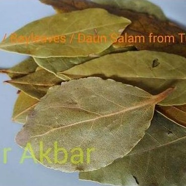 Grosir Ready Bay Leaves 1Kg / Daun Bay Leaves / Bayleaves From Turkey
