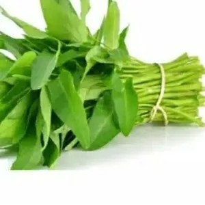 kangkung potong / kangkung rawa 1.1kg
