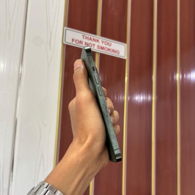 iPhone 13 Pro 256GB Alpine Green Bea Cukai
