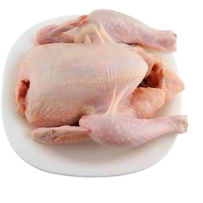 Carne- Ayam Karkas Broiler Ayam Potong Utuh 0.5-0.6 Kg