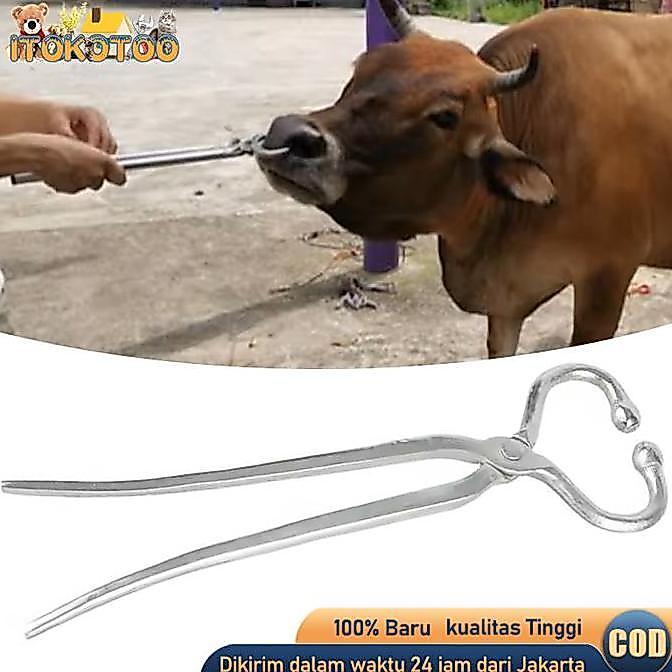 CABBALUS Cattle Nose Plier Alat Tindik Pelubang Hidung Sapi Penjepit Hidung Sapi Nose Ring Pliers
