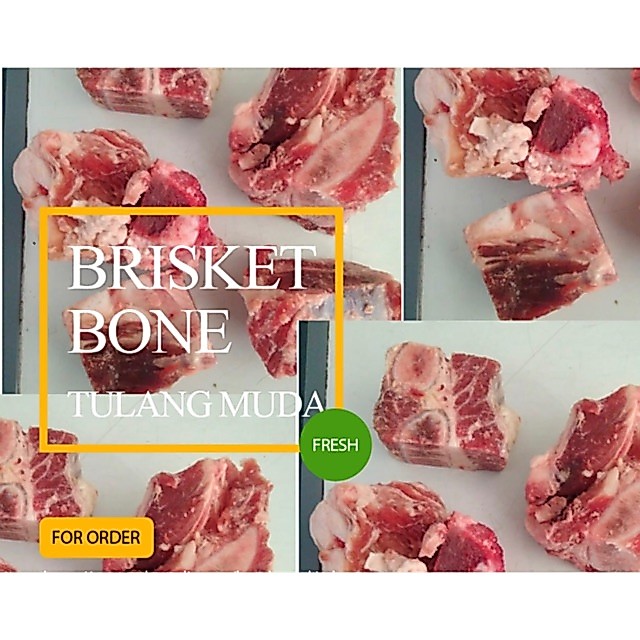 Tulang sop muda daging sapi / iga brisket