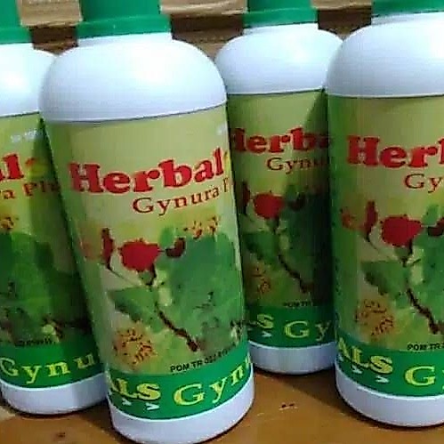 Promo Herbals Gynura Plus  Original 1000 ml / 1 Liter Obat Ramuan Alami Asli Manjur Daun Dewa Ginura