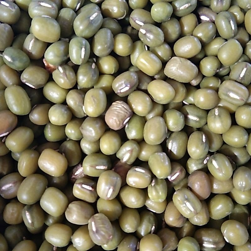kacang ijo 1 kg