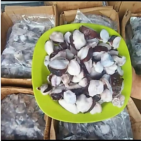 gurita potong IQF/ Gurita frozen/gurita potong takoyaki/giant octopus cut