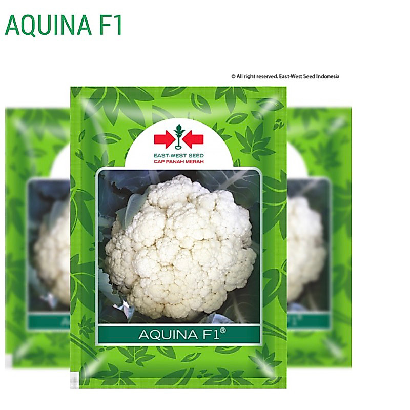 benih bunga kol aquina 10 gram