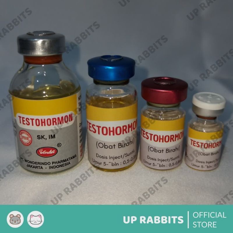 TESTOHORMON inject hormon Tingkatkan Reproduksi Hewan Jantan rm