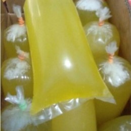 PUTIH TELUR MENTAH FRESH