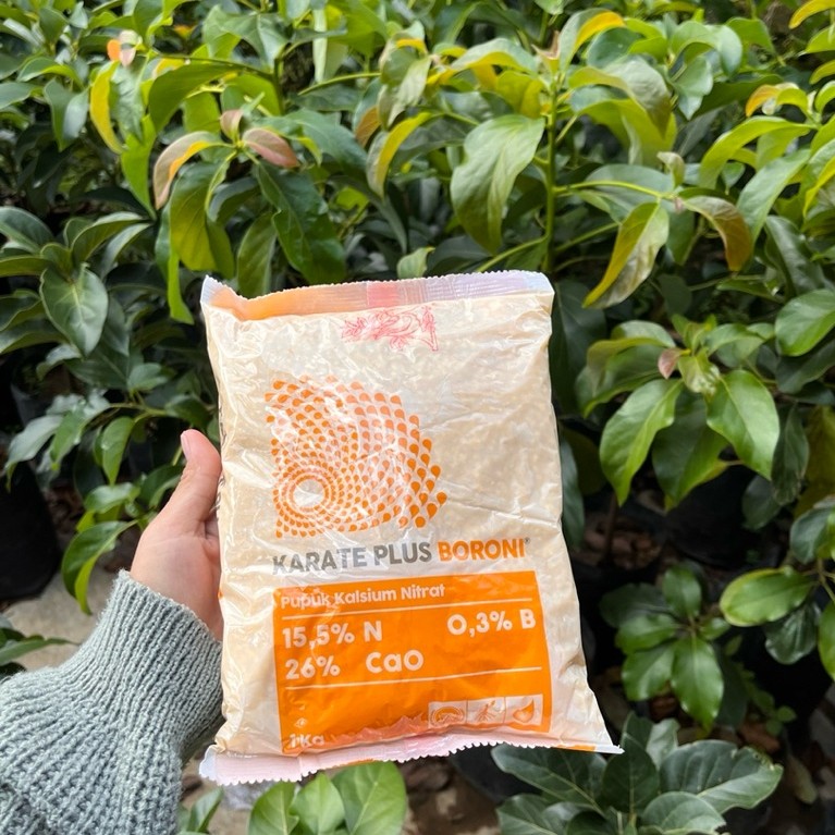 karate plus boroni 1kg