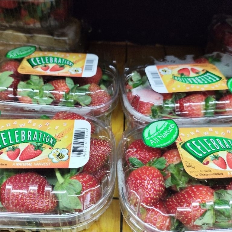 Strawberry All Natural Celebration Premium – Segar, Manis Alami & Fresh Import