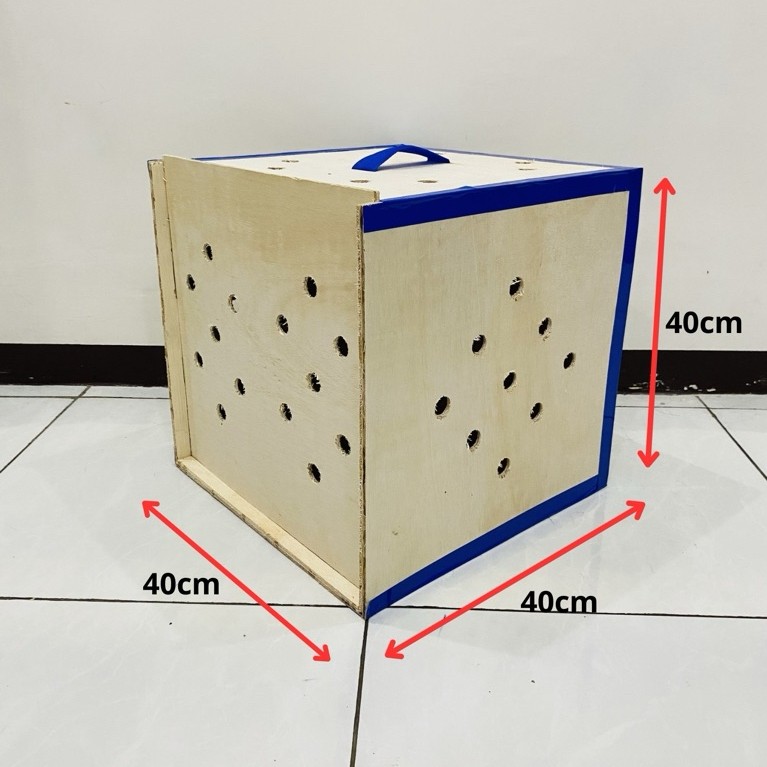Box pengiriman ayam bangkok Isi 2 | buat pengiriman ayam bangkok 40x40x40