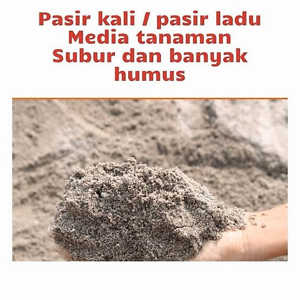 pasir kali media tanam / media tanam subur
