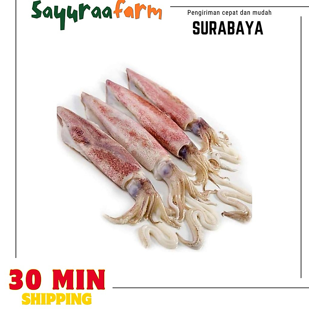 Cumi cumi fresh - cumi tinta hitam fresh 250gr