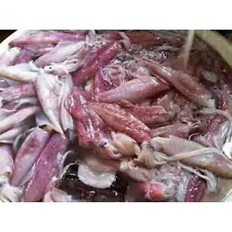 CUMI BASAH SEGAR