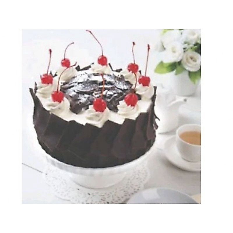 BlackForest/ Tiramisu / Coklat Fudge/ Coklat Cheery/ Opera  Holland Bakery