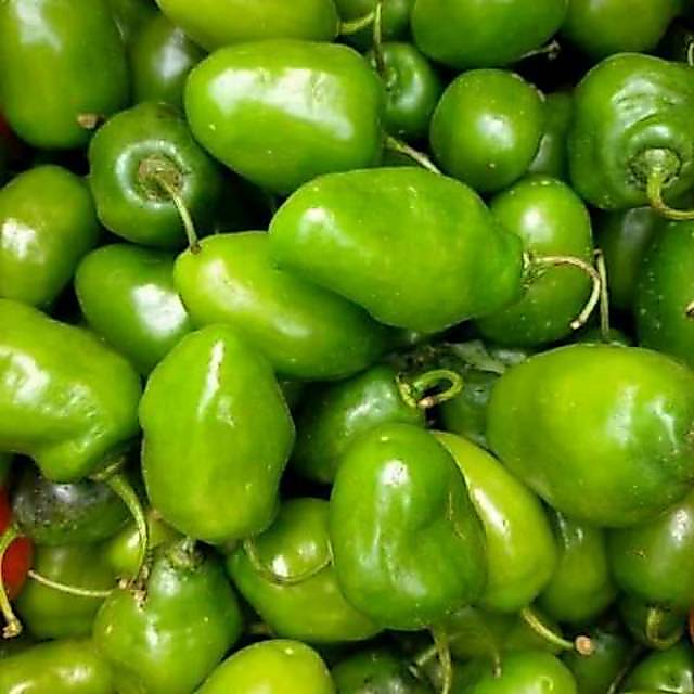 Cabe Gendot Segar 1Kg | Cabe Habanero Lokal Pedas | Fresh Petik Ciwidey | 1RB+ Terjual