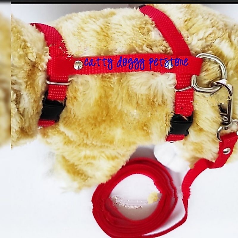 HARNESS. H + TALI TUNTUN  KUCING & KELINCI