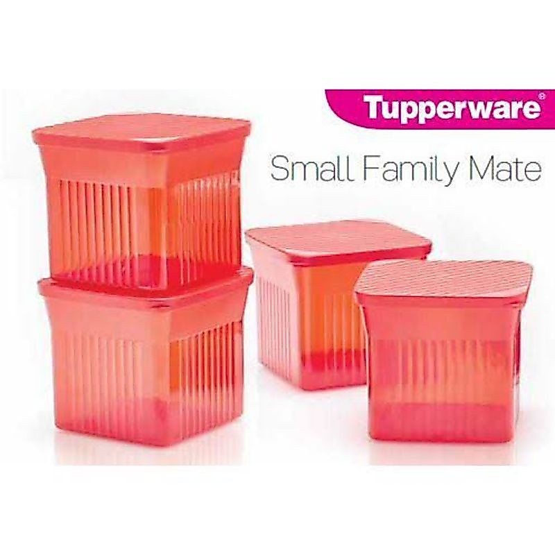 small family mate tupperware