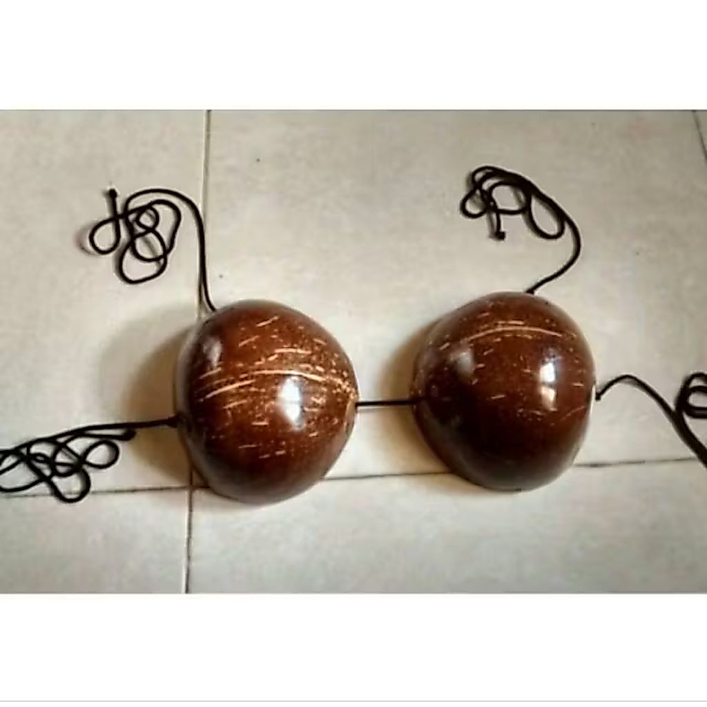 Bra batok kelapa untuk tari