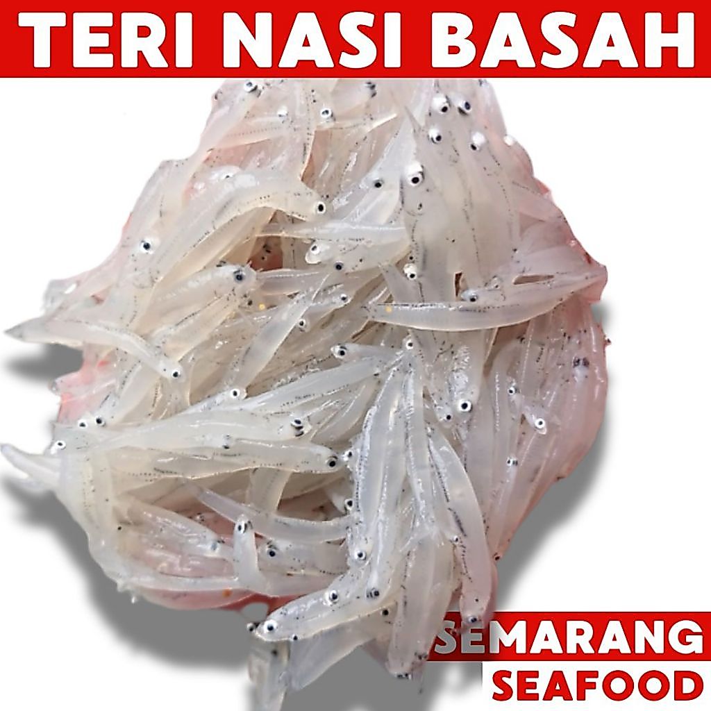 Teri Nasi Basah Premium | Ikan Semarang | Ikan Segar Semarang | Ikan Fresh Semarang