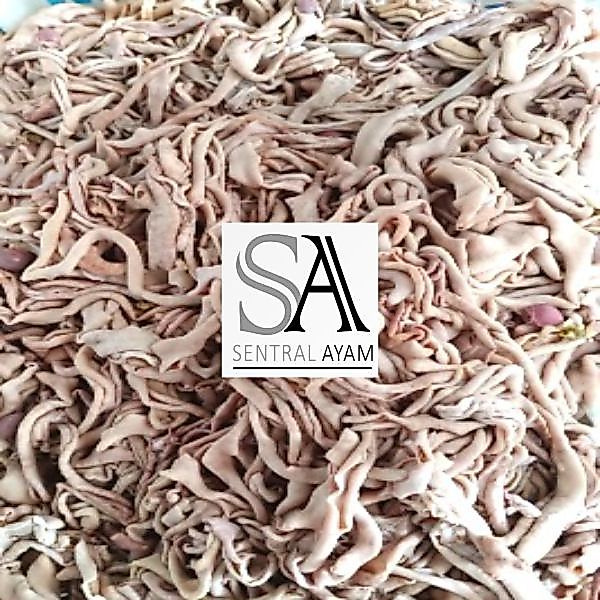 USUS SEGAR 1KG / USUS MURAH / USUS MENTAH 1KG USUS FRESH FROZEN USUS BERKUALITAS