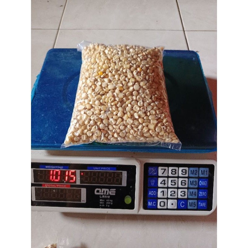 [promo] Jagung putih pipil kering konsumsi berkualitas 1 kg termurah