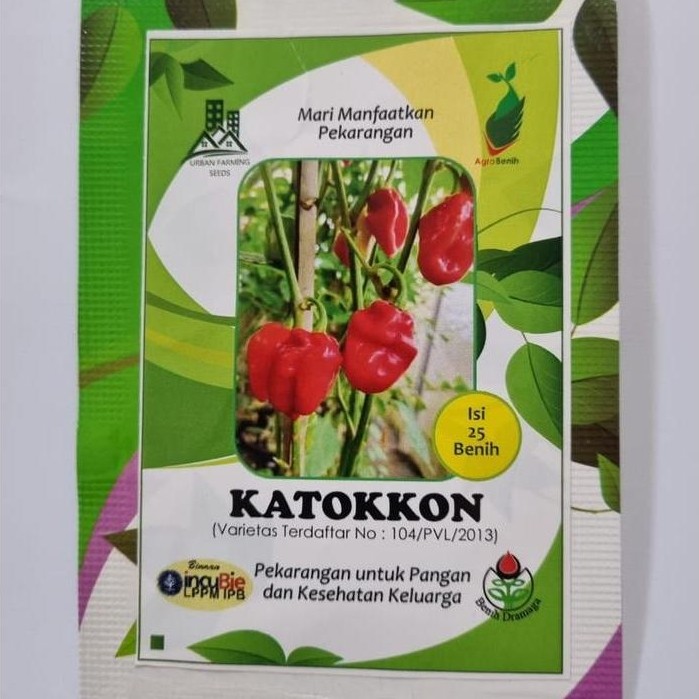 Benih Cabai Katokkon