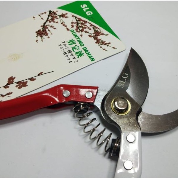 Promo Gunting Dahan Soligen / Gunting Kebun Ranting Bunga Kembang/Gunting Dahan Ranting Bunga Bonsai