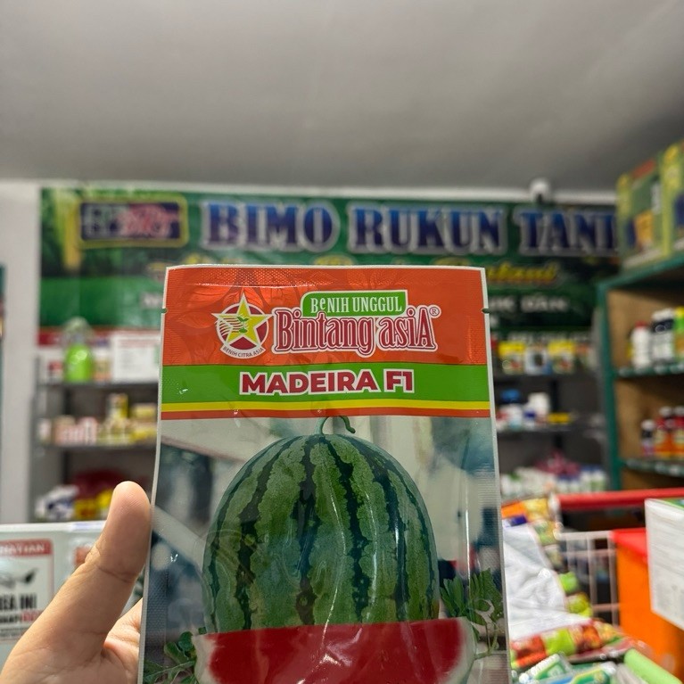 BENIH SEMANGKA MADEIRA