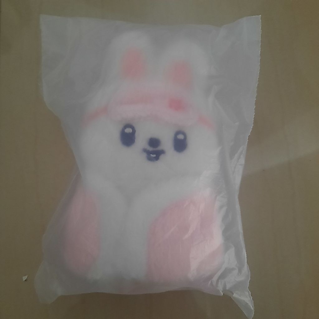 skzoo leebit 10cm little house official sealed