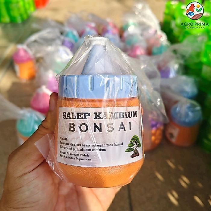 Salep Kambium Bonsai Perlengkapan Alat Bonsai