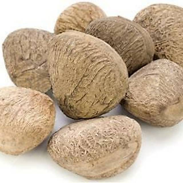 Kluwak/ kluwek/ kepayang 500 gram