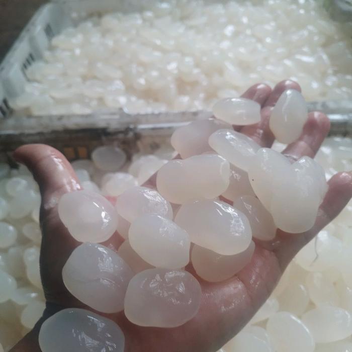 kolang kaling 1kg muda tanpa bahan campuran - kolang kaling fresh